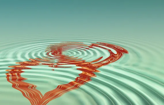 BingoCom Cazino Cazinou Suport